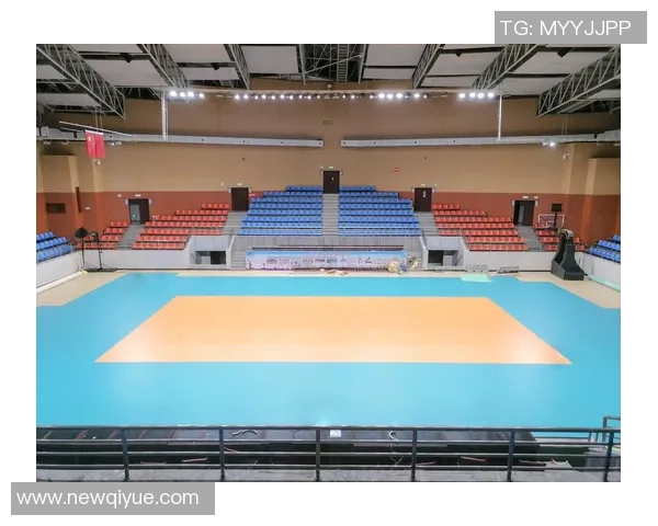 张芳排球生涯回顾与展望：从球场拼搏到人生启示